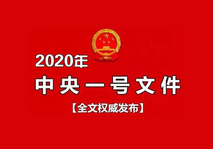 2020年中央一号文件