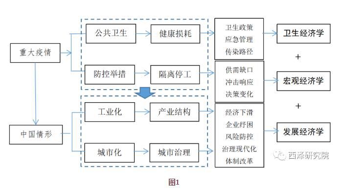 疫情冲击下的中国经济—理论框架、动态比较