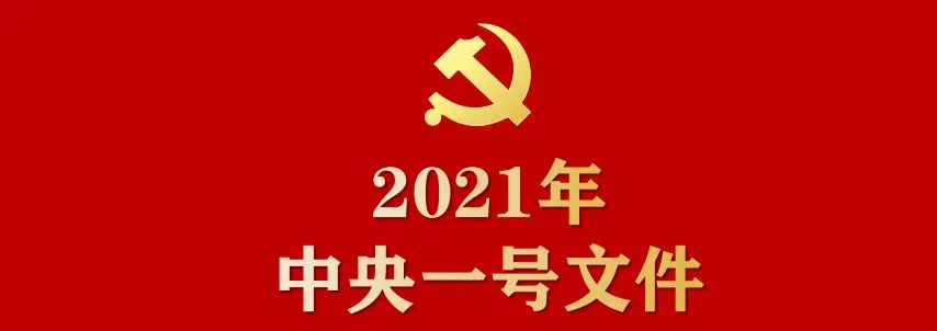 一文读懂！2021年中央一号文件