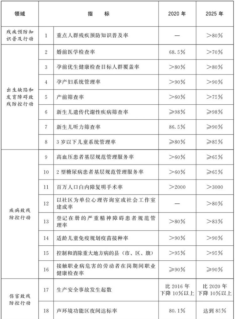 国务院办公厅关于印发国家残疾预防行动计划