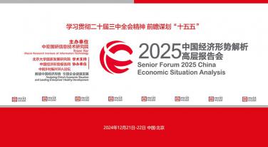 2025(第21届)中国经济形势解析高层报告会